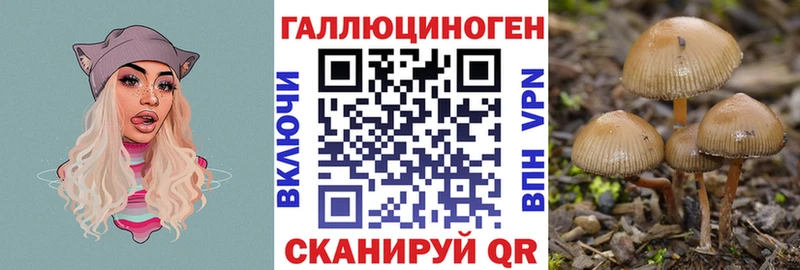 Псилоцибиновые грибы Cubensis  купить наркоту  Обоянь 